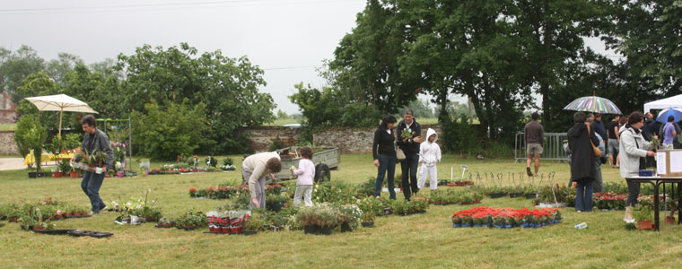 Vide Jardins