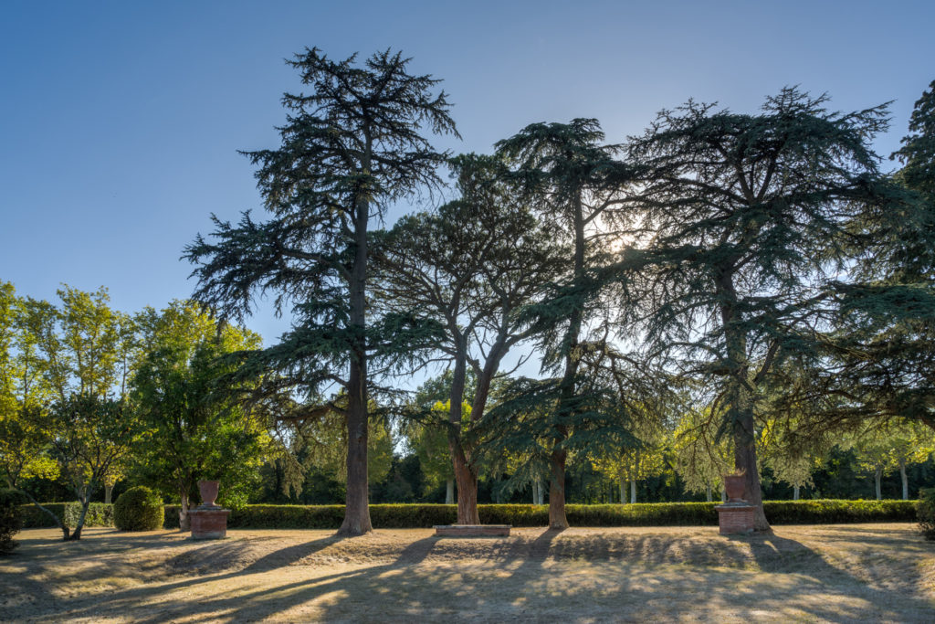 Domaine rochemontes 24