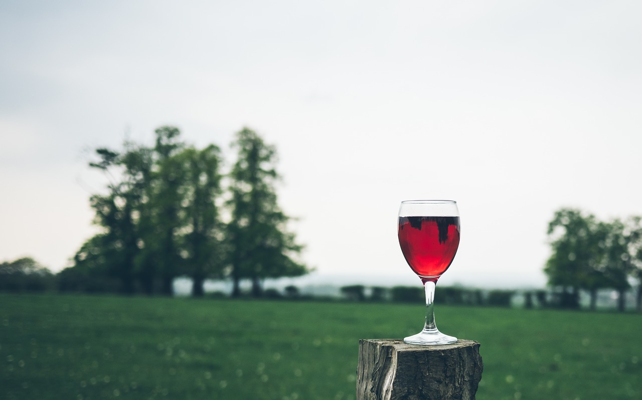 verre vin de vin rouge